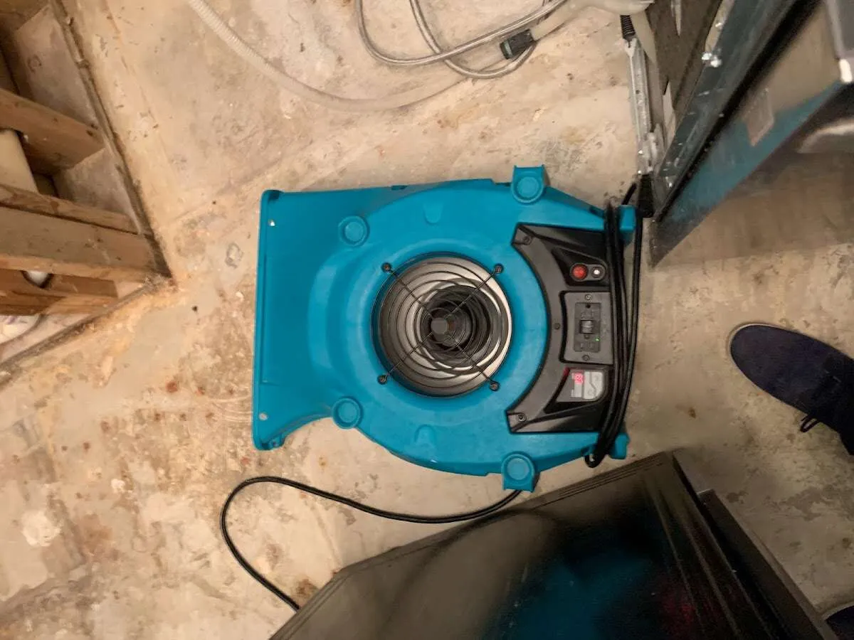 Air mover drying equipment for Mold Remediation & Removal in Wakefield